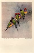 Orient Line menu - Australian wild birds
