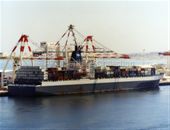 PEGASUS BAY loading in port
